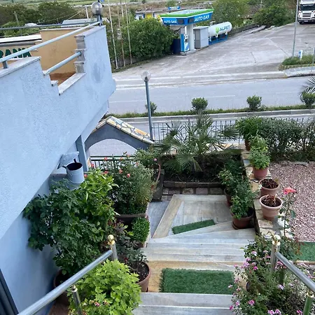 Qiqi 2* Gjirokastër