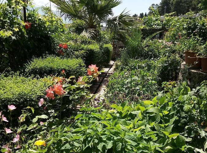 Hotel Qiqi Gjirokaster